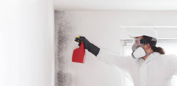 Clinton, IA Mold Remediation Company
